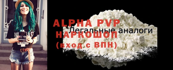 PSILOCYBIN Покачи