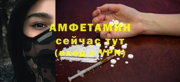 PSILOCYBIN Покачи