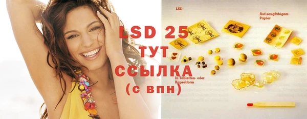 PSILOCYBIN Покачи