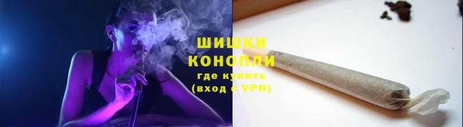 PSILOCYBIN Покачи