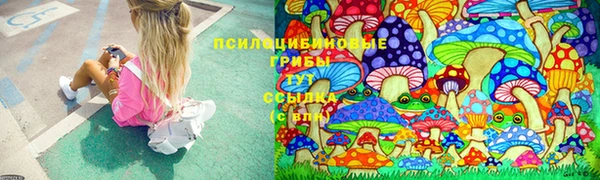 Альфа ПВП Покровск